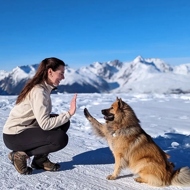 Location Vacances Avec Animaux De Compagnie Mmv