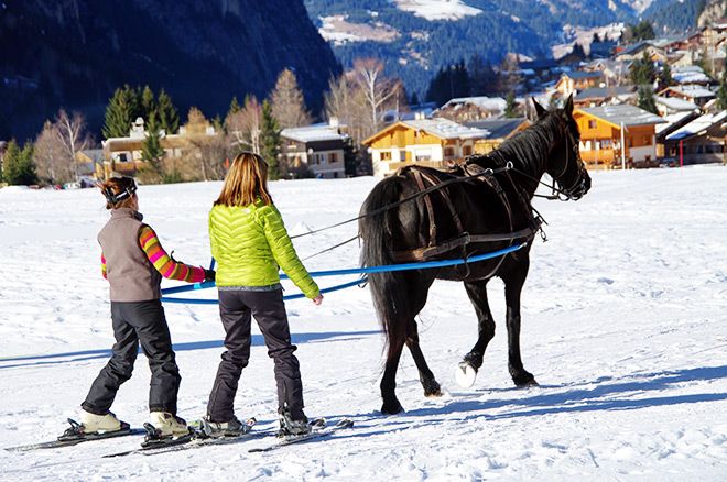 Voyage en montagne